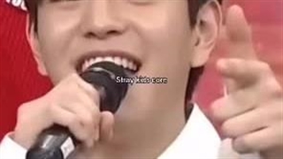 :Stray kids core