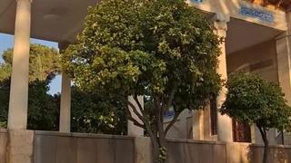 عشق بی‌قید و شرط ☀️~