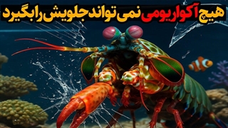 میگوی آخندکی؛ هیولای کوچکی که حتی شیشه را نابود می کند!