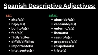 All Spanish fundamentals you need