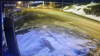 لحظه پرواز عجیب خودرو دنا و سقوط به دره‌ در جاده چالوس