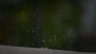 تاوانِ آرامش در دنیای شلوغ؟