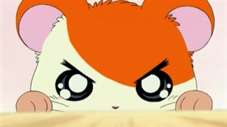 Hamtaro～01 - 02