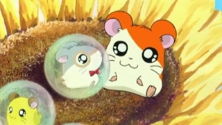 Hamtaro～01 - 14