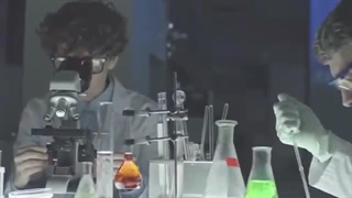 بزرگترین حیوانات در جهان