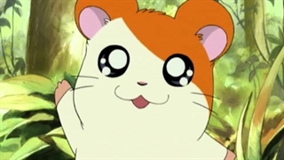 Hamtaro～01 - 19