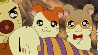 Hamtaro～01 - 20