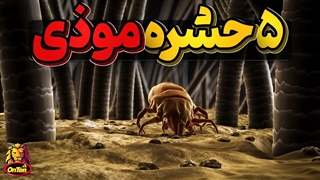 پنج حشره خون آشام، بیماری زا، موذی، فاسد و پنهانکار در باغ وحش آنتن