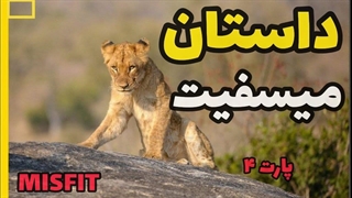 داستان زندگی توله شیر در قلمرو شیرها