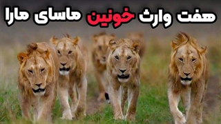 شورش هفت برادر در ماسای مارا قیام خونین برادران تاپی بویز برای تصاحب قلمرو