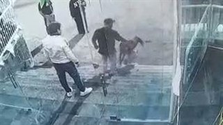 یکی از وحوش زن زندگی آزادی در حال آتش زدن مسجد - دوربین مدار بسته
