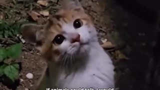 If animals could talk...