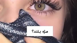 کدومشو نیاز داری؟
