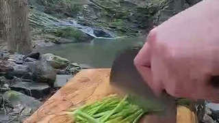 آشپزی در طبیعت