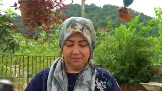 غذای مخصوص ترکی