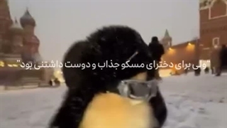 این تاریخ رو یادمون بمونه و هر سال این موقع شادی میکنم