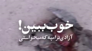 وطن فروشی چند؟