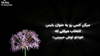 Like you~ بیاید آشنا شیم، کپ لطفا