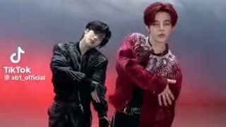 اینقدر زمان زود گذشت که انگار این چالش رو دیروز دیدم(neversaynever)