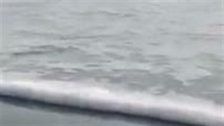 Part:3 نجاتم بدین عاشق شدم
