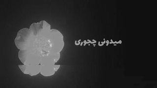 شــــیــریــن مــــــن “