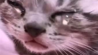 :(