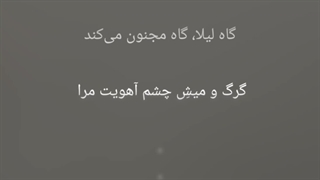 "گاه لیلا، گاه مجنون می‌کند؛ گرگ و میشِ چشمِ آهویت مرا"))