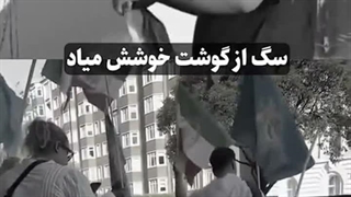 کپشن مهم