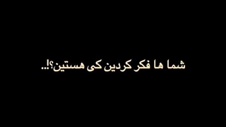 استری کیدز