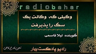 وکیلی وکالت یک سگ را قبول کرد