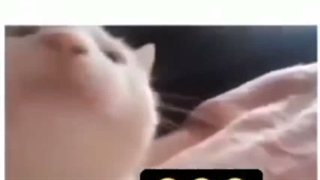#حققق!!