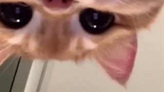 شب بخیر...