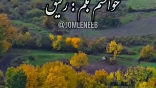 رفیق