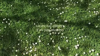 (: Nature has answers+کپشن
