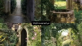 من اینو دوست دارم اما…./୨୧