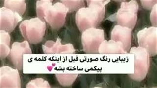 زیبایی رنگ صورتی قبل اینکه کلمه پیکمی ساخته شه>>>>>