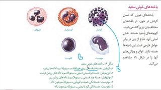 تست زنی  رمزگردانی مشاوره کنکور استاد غیاثی 09149285452
