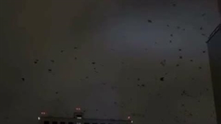 گاتهام درست بشه گاتهامی جماعت درست نمیشه