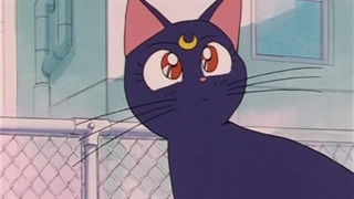انیمه ملوان ماه نسخه دهه 90 فصل اول قسمت 1 | Sailor Moon S1 با زیرنویس فارسی