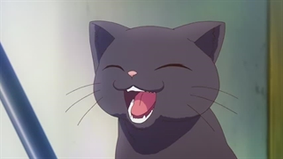 Sakura-sou no Pet na Kanojo - 06