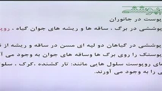 زیست دهم فصل 6 گفتار 2