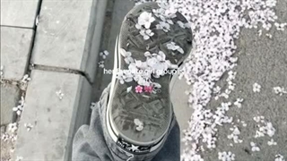 کپ برای کل نماشایی ها