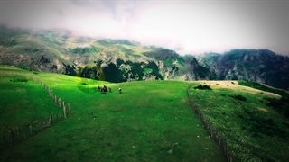 طبیعت بهار رویایی گیلان