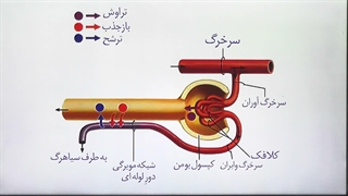 زیست دهم فصل 5 گفتار 2