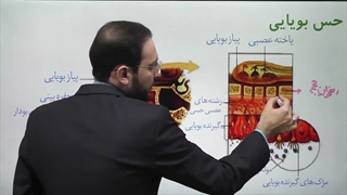 زیست یازدهم فصل 2 گفتار 2 بخش دوم