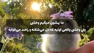 واقعا....