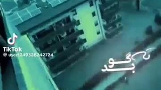 تی گو بد