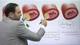 زیست یازدهم فصل 6 فتار 2 بخش دوم