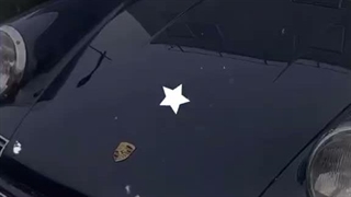 BLUE+STAR 
