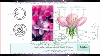 جلسه دوم  فصل 8 بخش اول گفتار 2 زیست یازدهم